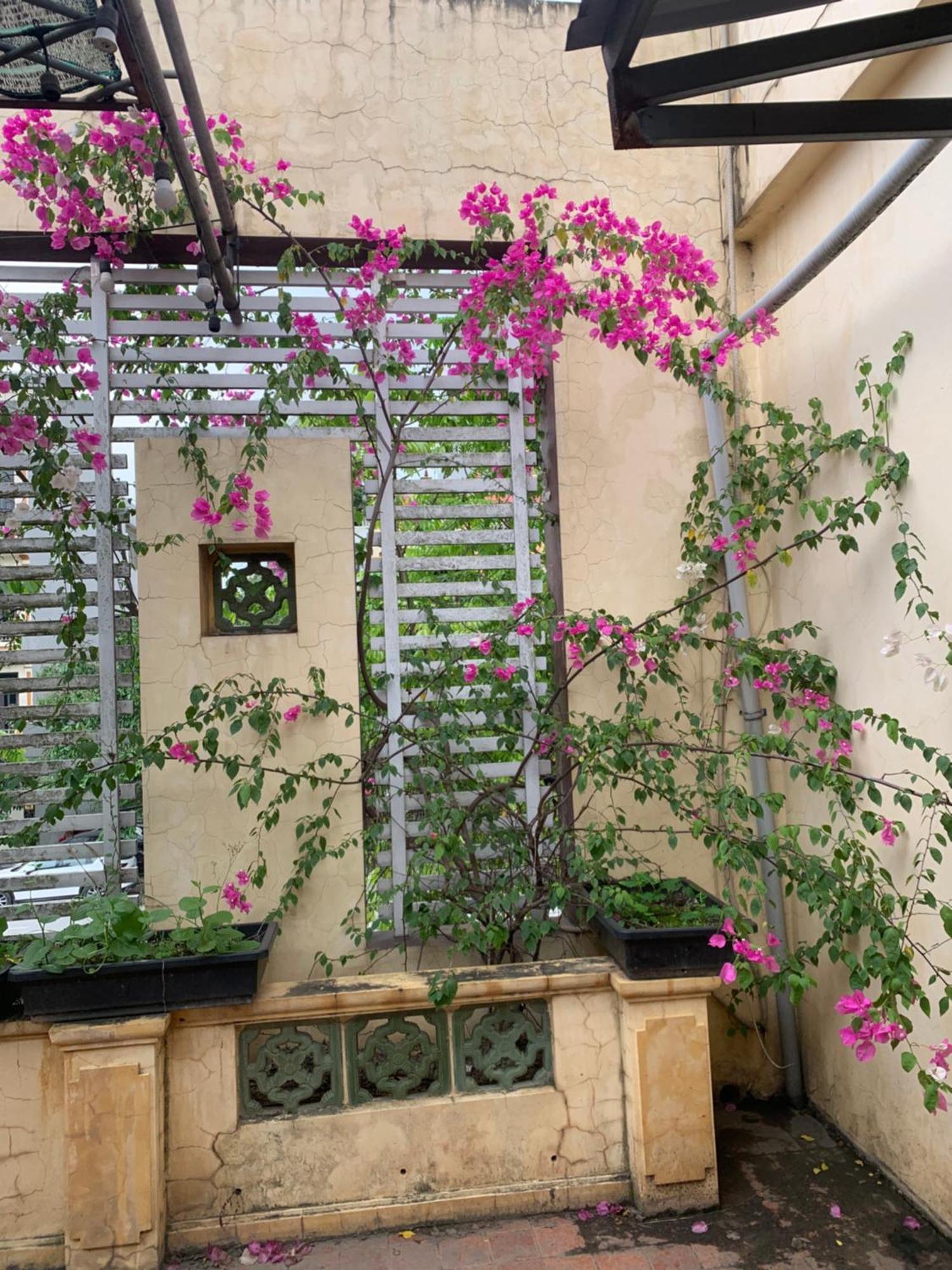 Seoul House Aparthotel Ninh Bình Kültér fotó